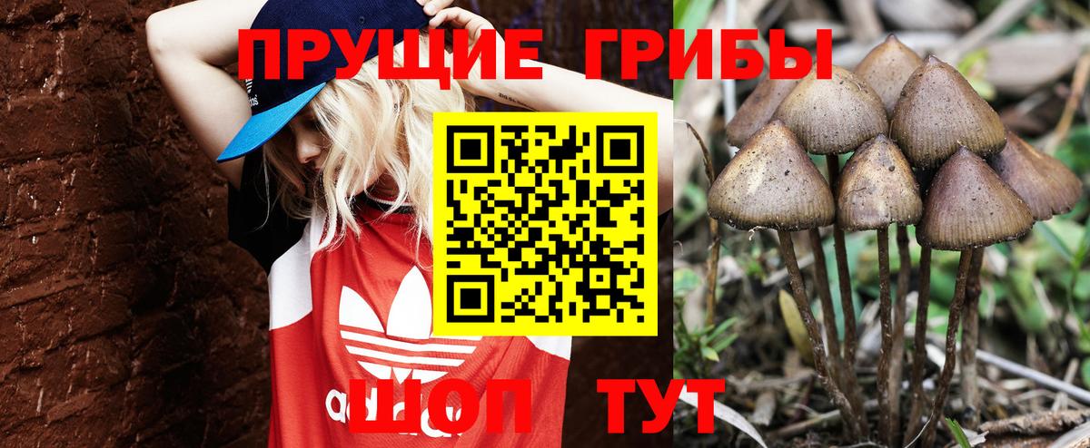 Галлюциногенные грибы MAGIC MUSHROOMS Шали